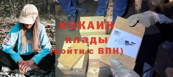 прущие грибы Баксан