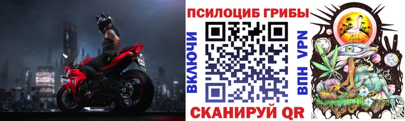 OMG как войти  нарко площадка официальный сайт  Галлюциногенные грибы Cubensis  Моршанск 